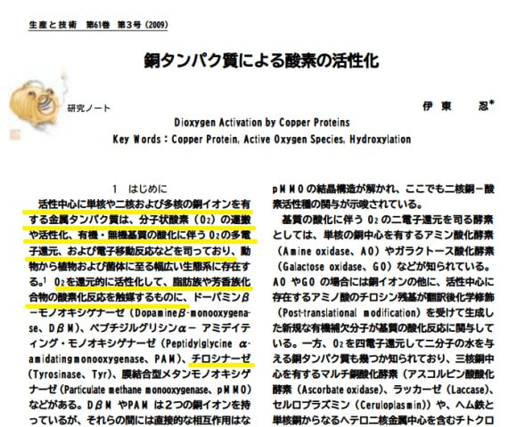 銅タンパクによる酵素の活性化研究論文