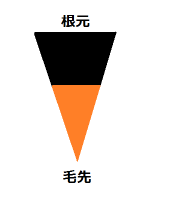 根元がかなり伸びている髪の毛のイラスト