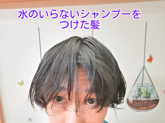 水のいらないシャンプーを使った直後の髪