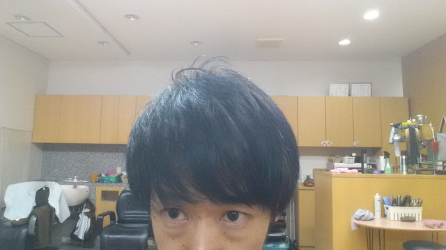 髪の毛を乾かした後の写真