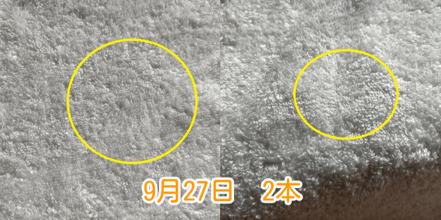 9月27日抜け毛本数