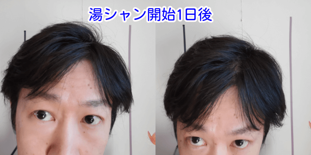 湯シャン開始1日後写真