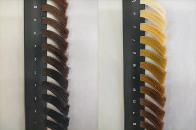 ヘアカラーの1-20レベルスケール