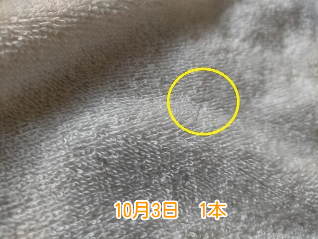 10月3日抜け毛本数 