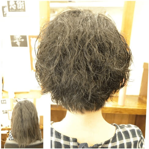連珠毛の写真