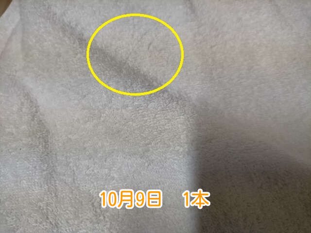 10月9日抜け毛本数