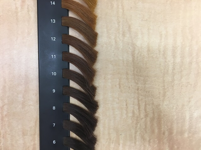 髪の毛の明るさレベル表