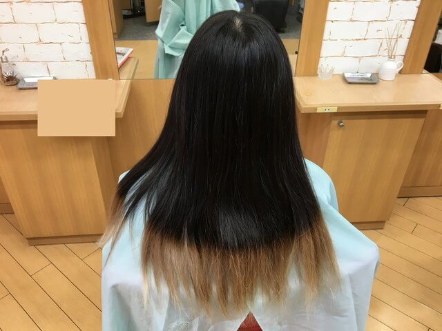 ヘアビューロンの比較に使う人の髪の毛の写真