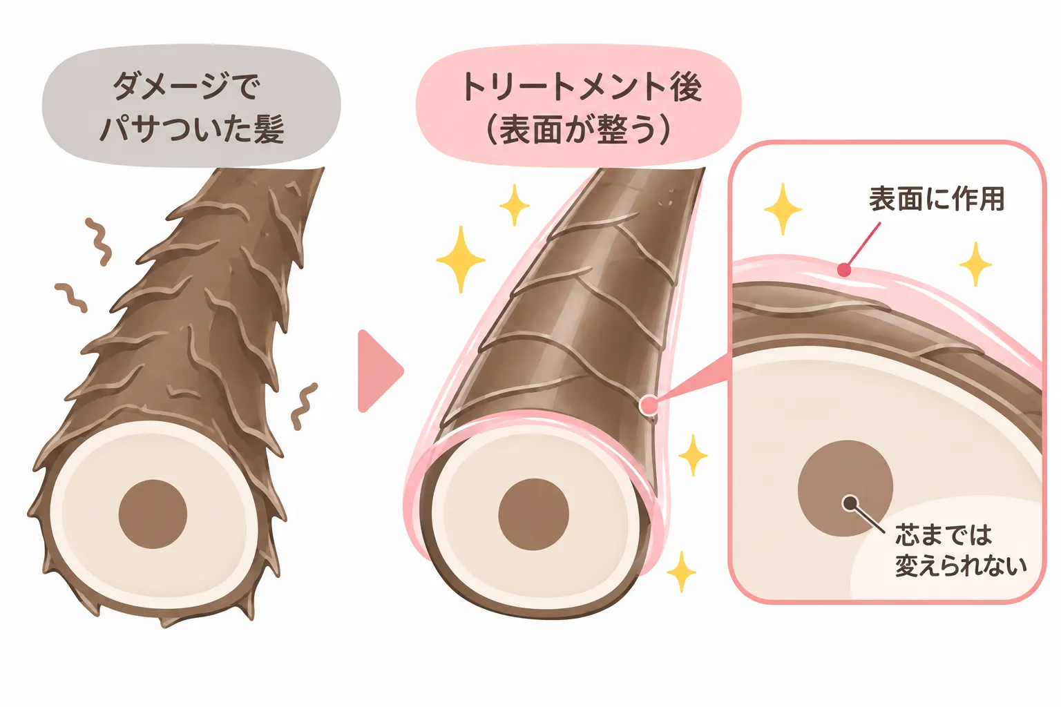 トリートメントの影響力