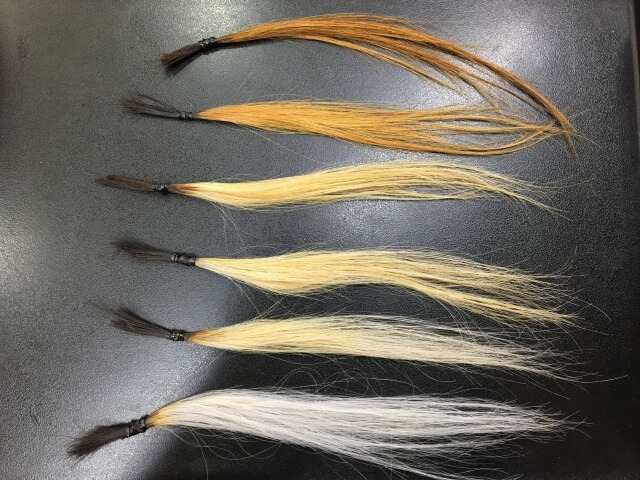 ホワイトニングローションをしたブリーチした髪の毛の写真