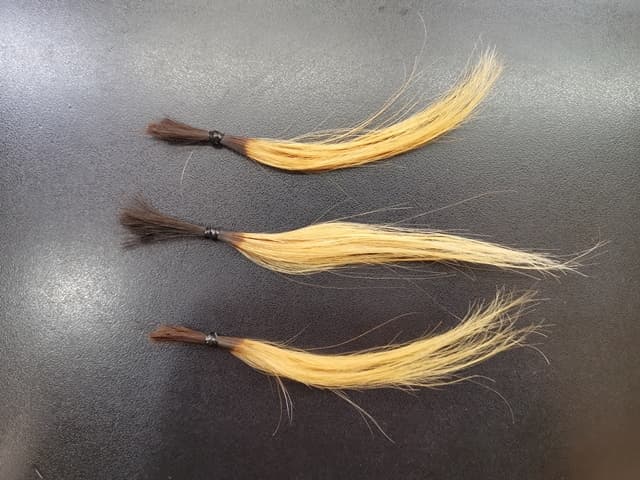 ブリーチした3つの髪