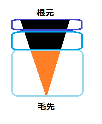 根元がかなり伸びている髪の毛の染め方のイラスト