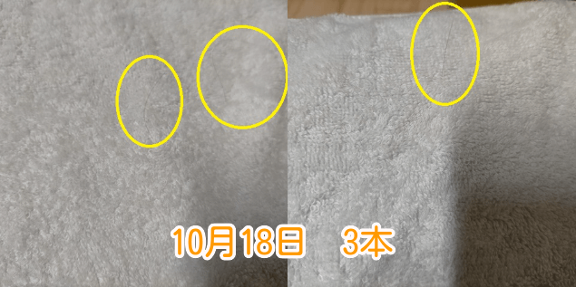 10月18日抜け毛本数