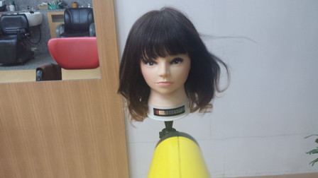 生活しているところをイメージして風を当てている写真