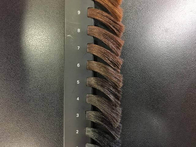黒髪の髪の毛レベルの写真