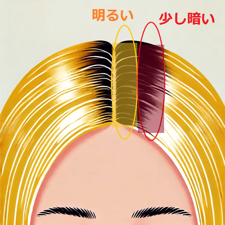 リタッチ部分の説明イラスト