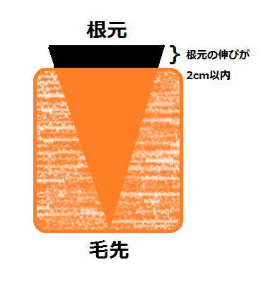 根元の伸びが2cm以内でカラーを塗っているイラスト
