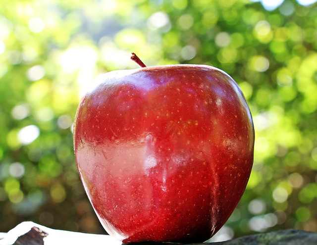 リンゴの写真