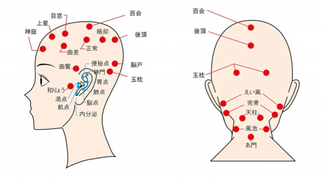 ヘッドスパってどんなもの効果の出る頻度や自宅での方法も紹介