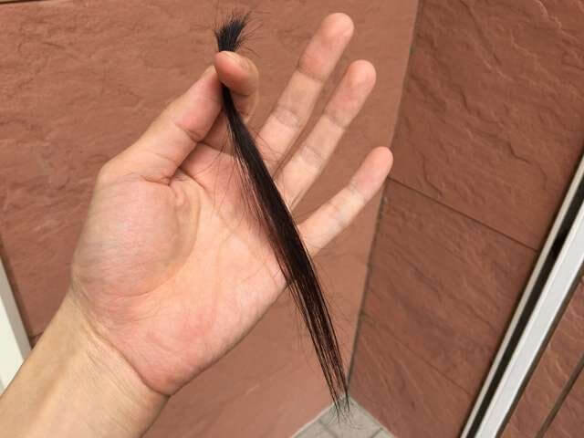 黒髪をピンクベージュ屋外の写真