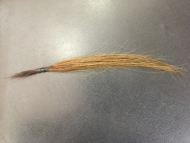マットアッシュブリーチ1回の髪の毛の写真