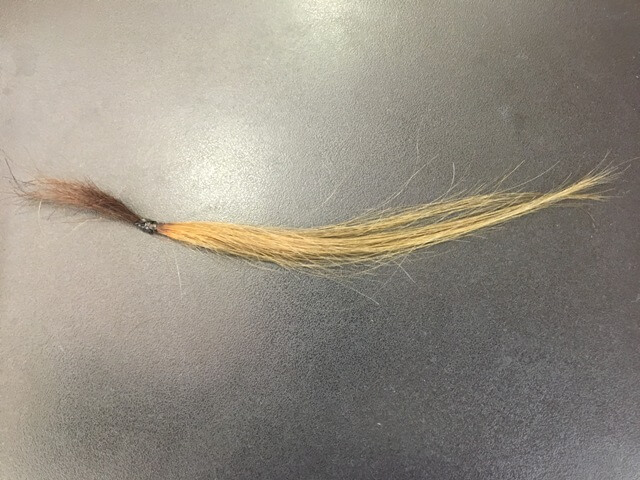 マットアッシュブリーチ2回の髪の毛の写真