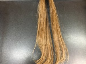 ローライトの髪の毛